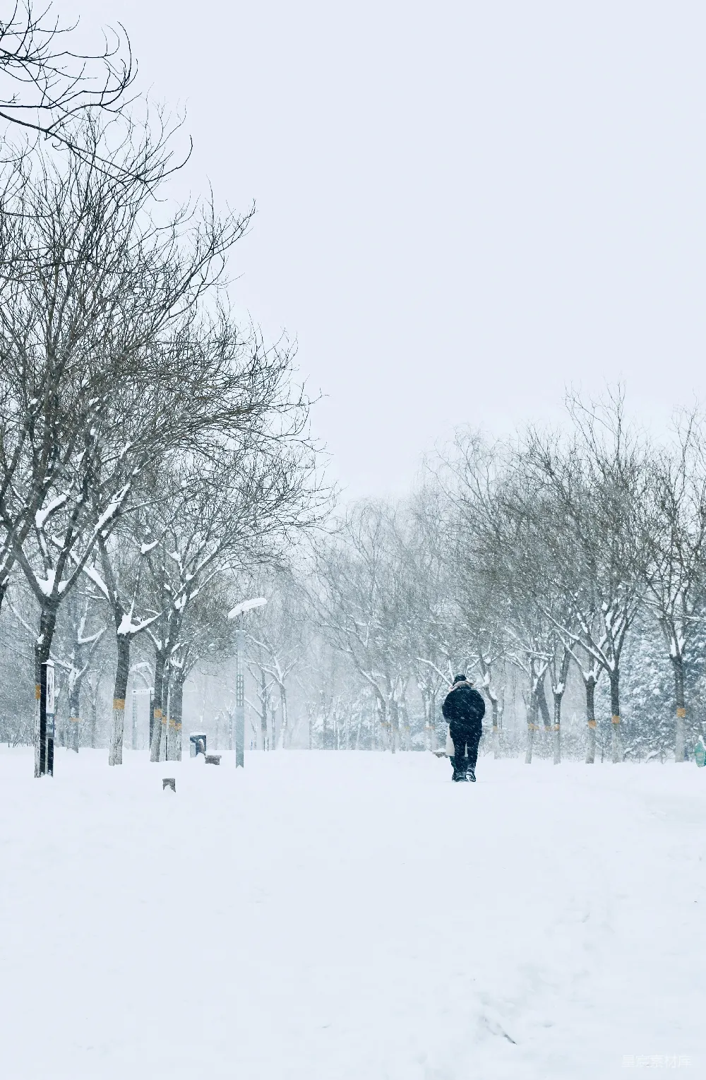 高清摄影 冬日 雪景 孤独 漫步 静谧 冬日雪景中的孤独漫步者