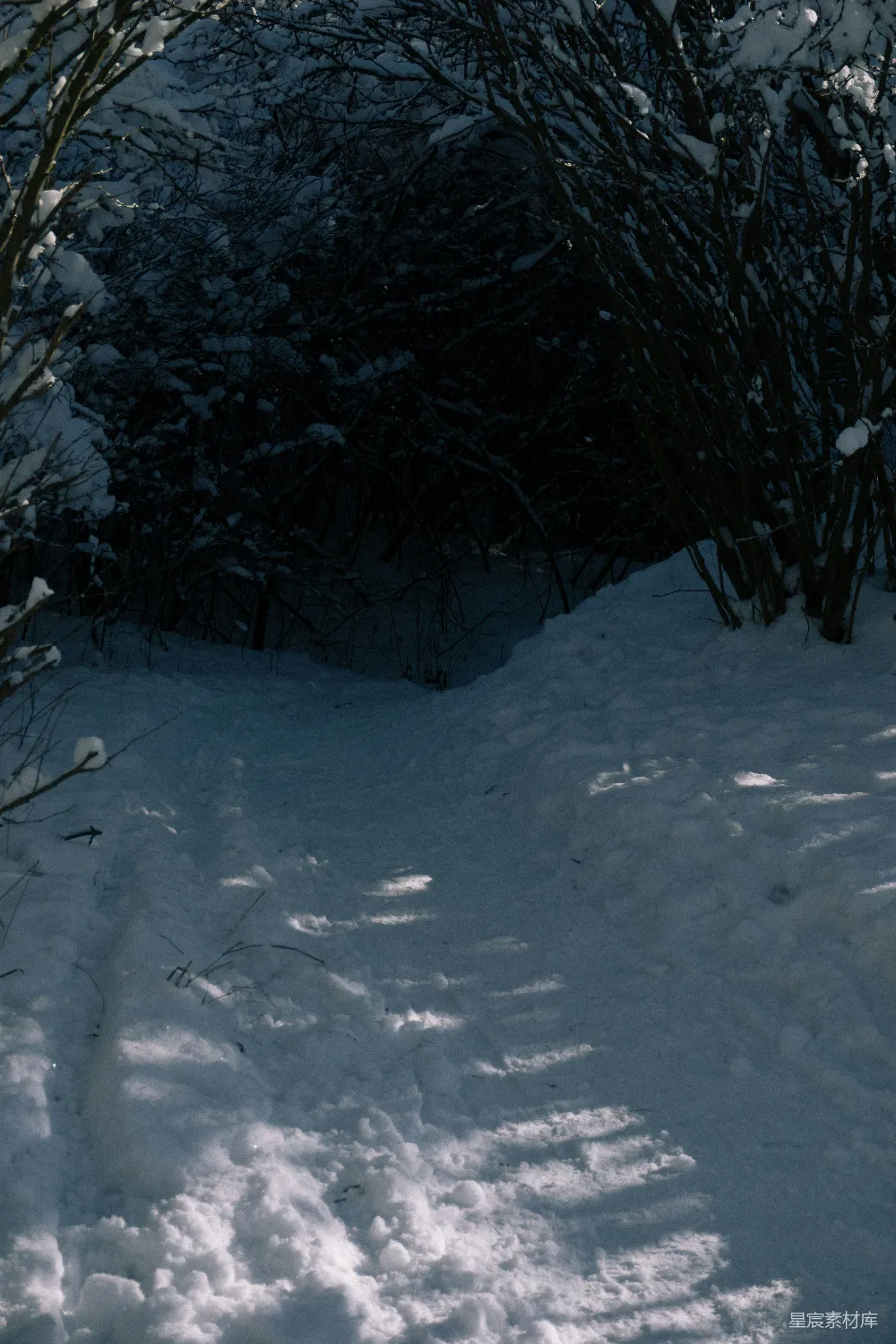 高清摄影 雪地 光影 自然 冬季 户外 雪地中的光影