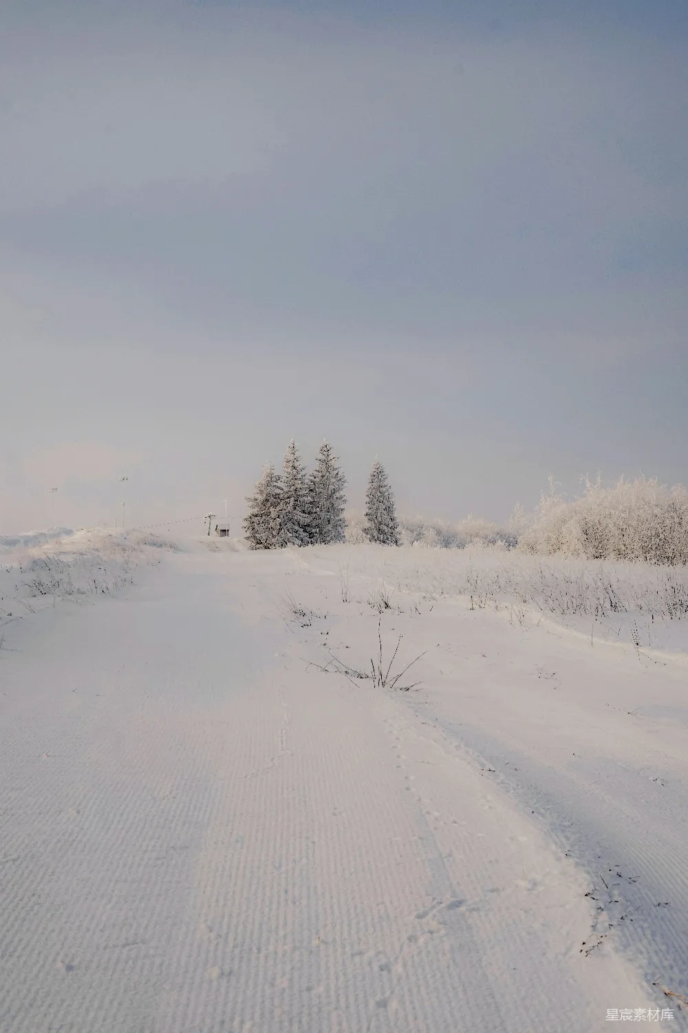 高清摄影 冬日 雪景 宁静 小径 自然 冬日雪景中的宁静小径