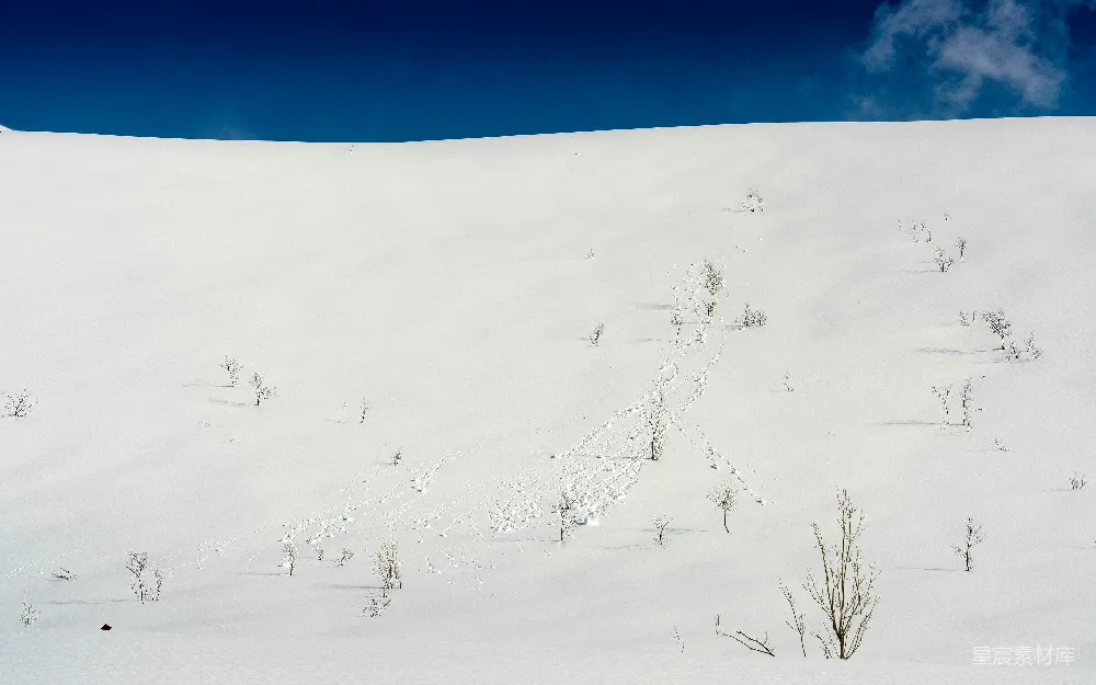 高清摄影 雪地 足迹 自然风光 冬季 户外 雪地中的足迹