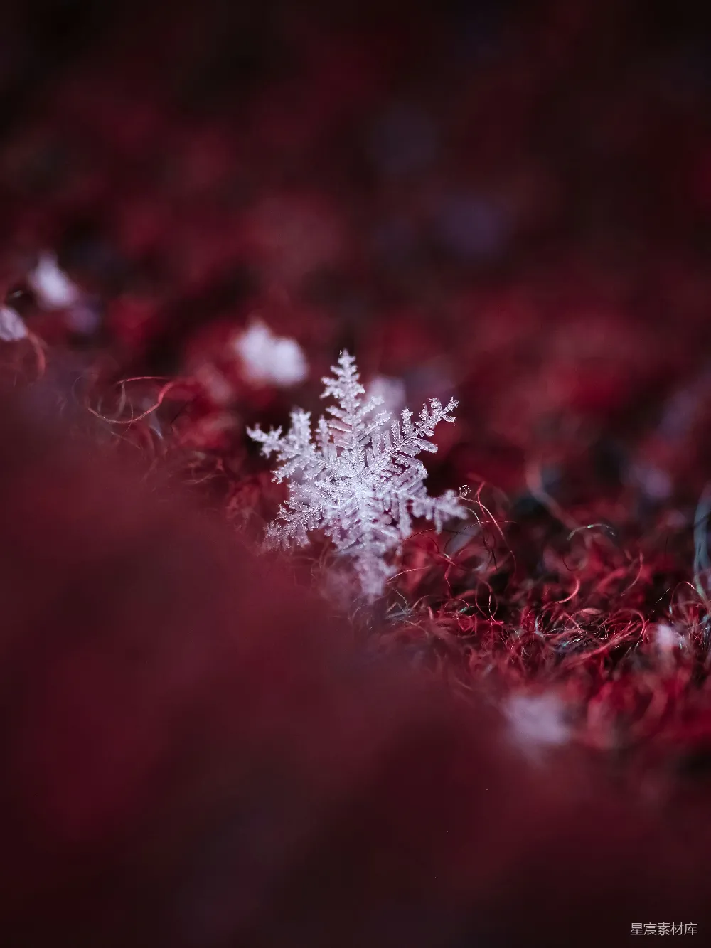 高清摄影 雪花 微距摄影 冬季 自然之美 红色背景 红毯上的雪花
