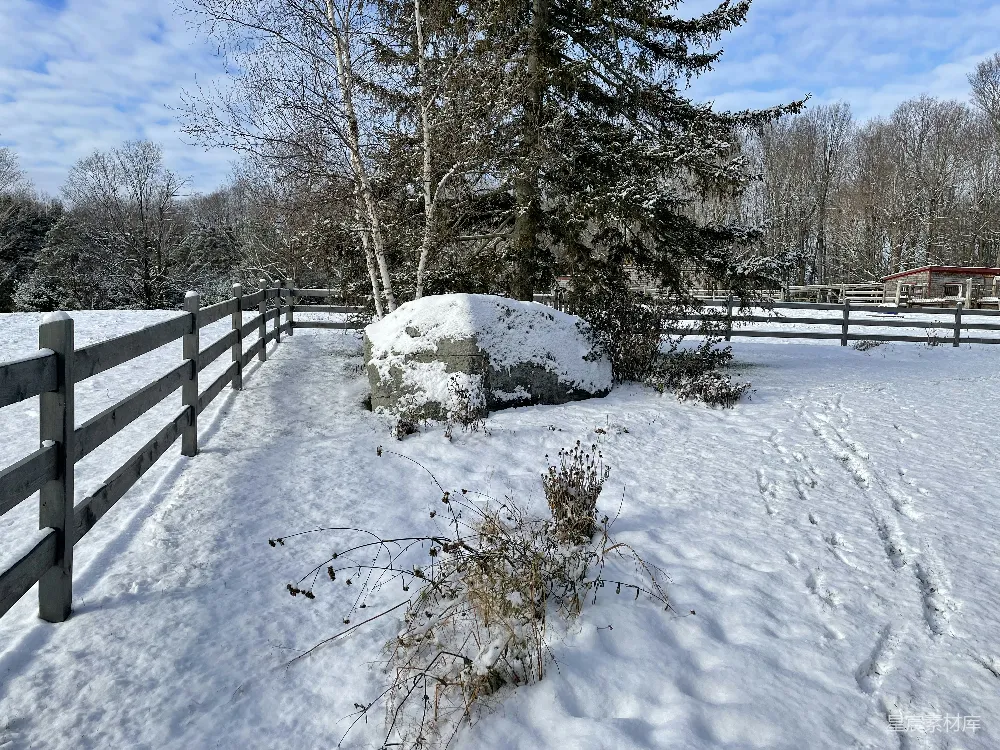 高清摄影 雪景 冬季 乡村 自然 户外 冬日雪景中的木栅栏