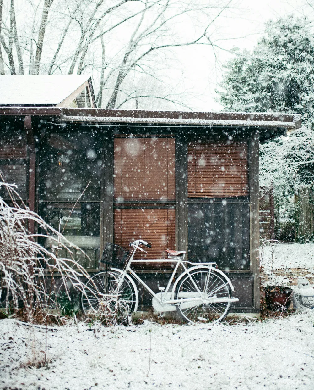 高清摄影 雪景 自行车 乡村 静谧 冬日 冬日雪景中的自行车
