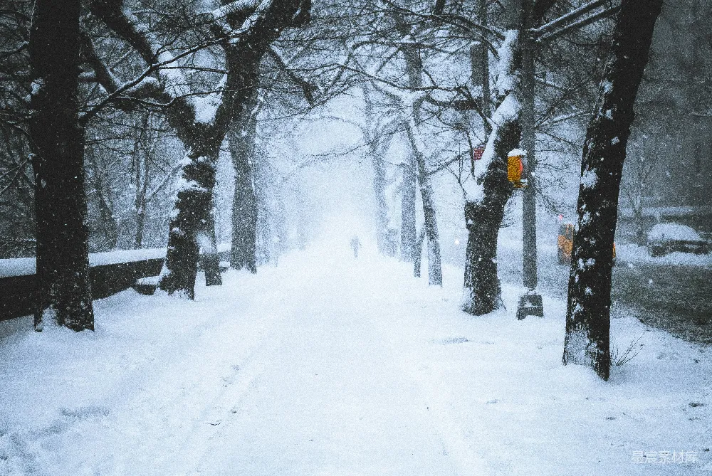 高清摄影 雪景 城市 冬季 街道 宁静 雪中的城市街道