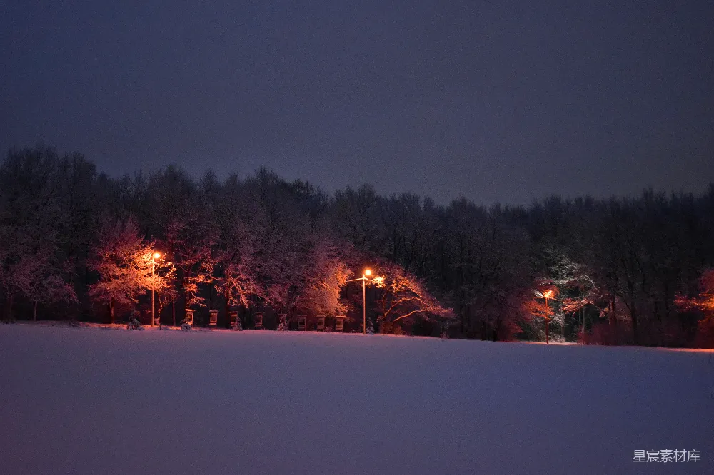 高清摄影 冬夜 雪景 路灯 自然风光 宁静 冬夜雪景下的路灯