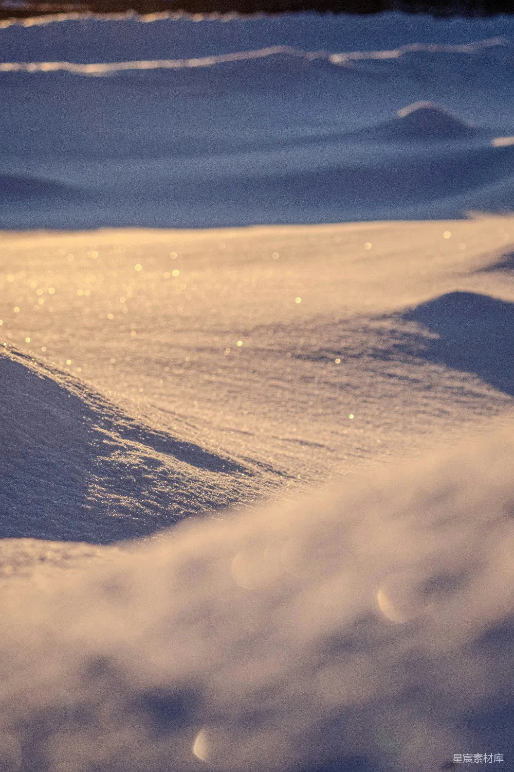 高清摄影 雪地 晨光 自然 宁静 冬季 冬日晨光下的雪地