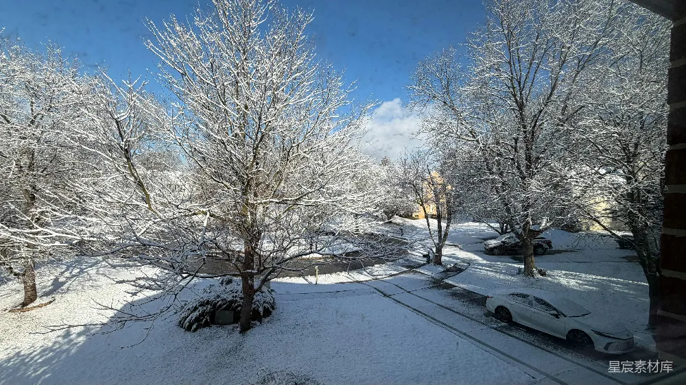 高清摄影 雪景 冬季 住宅区 宁静 自然 雪后宁静的住宅区