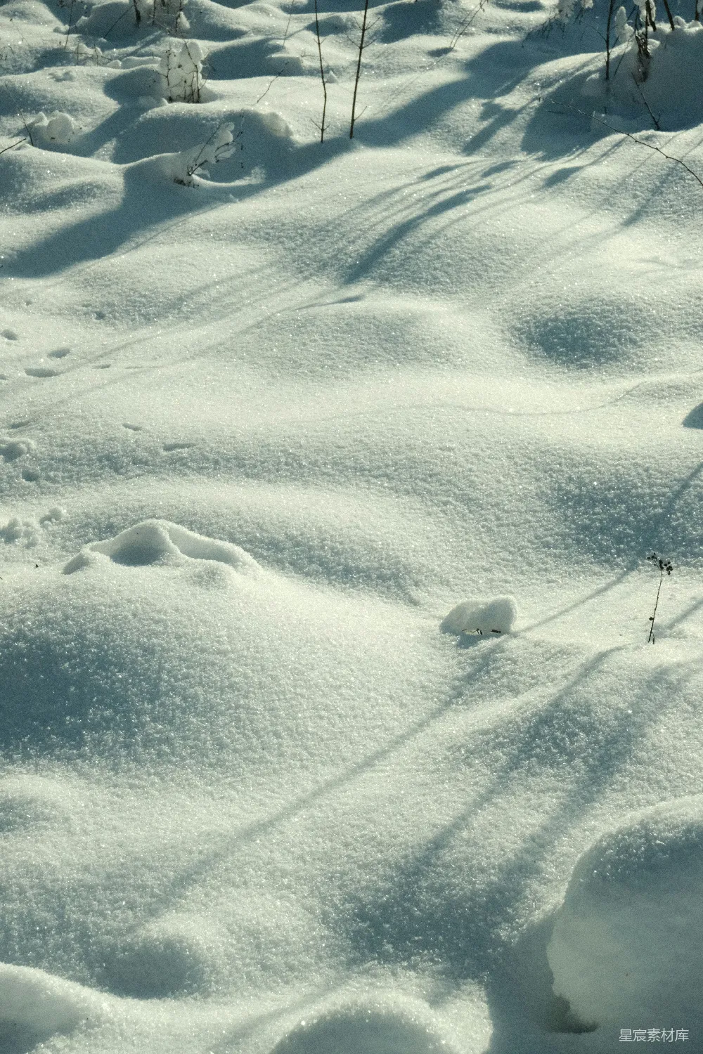 高清摄影 雪景 自然 冬季 宁静 光影 冬日雪景：阳光下的自然纹理