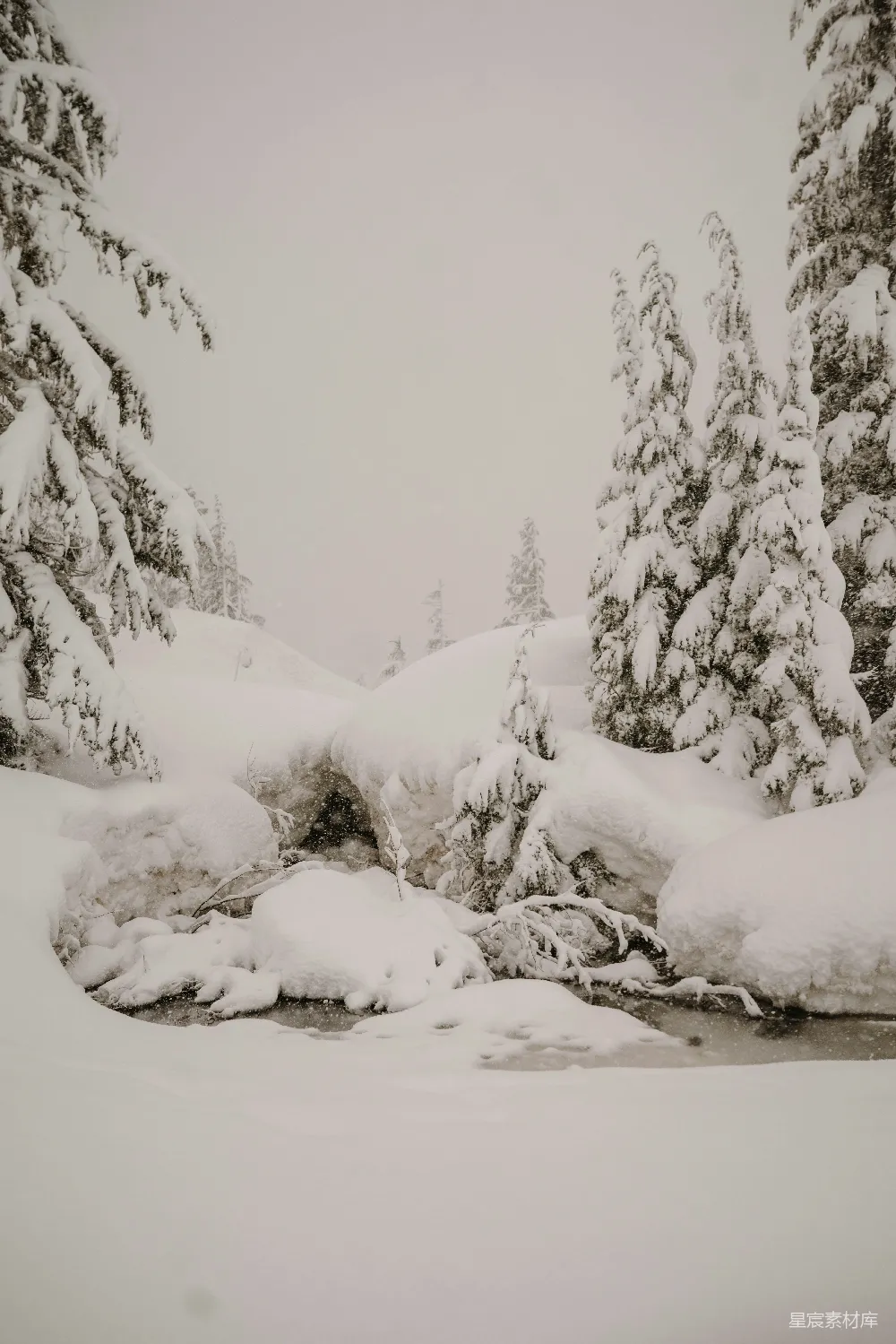 高清摄影 雪景 森林 自然 冬季 宁静 冬日雪景