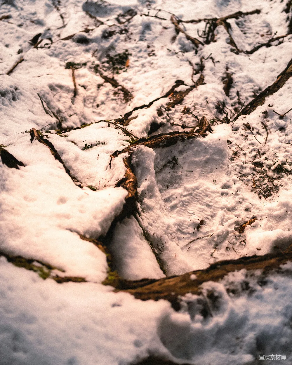 高清摄影 冬季 自然 雪景 枯枝 静谧 雪地中的枯树枝