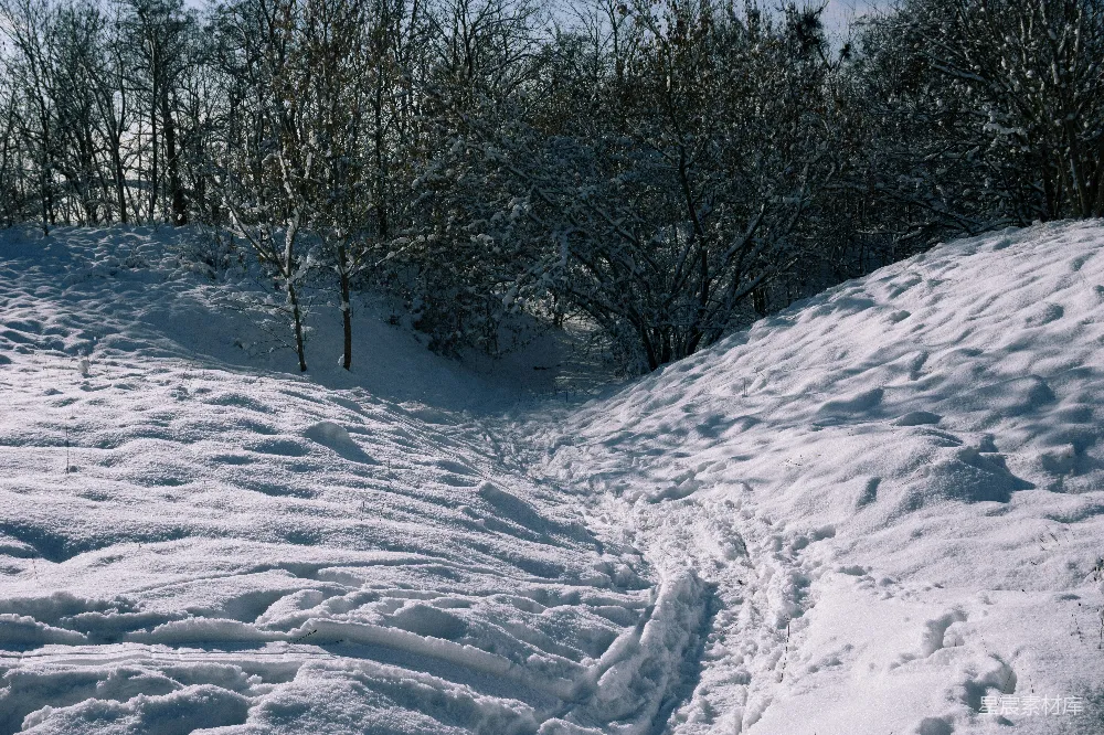 高清摄影 雪景 自然风光 冬季 户外 宁静 冬日雪景