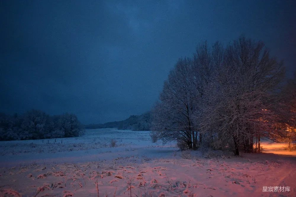 高清摄影 冬夜 雪景 自然风光 宁静 风景 冬夜的雪景