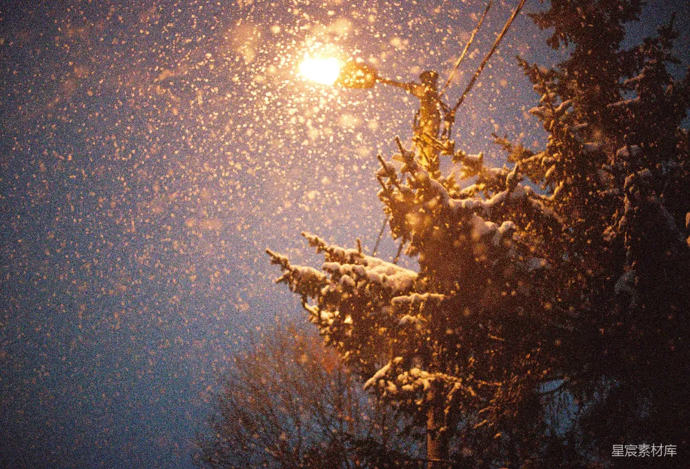 高清摄影 雪景 冬夜 城市风光 城市夜景 节日氛围 雪夜中的路灯与松树