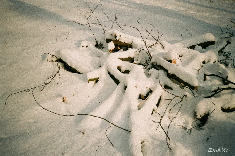 高清摄影 雪景 自然 冬季 艺术感 户外 雪地里的自然纹理