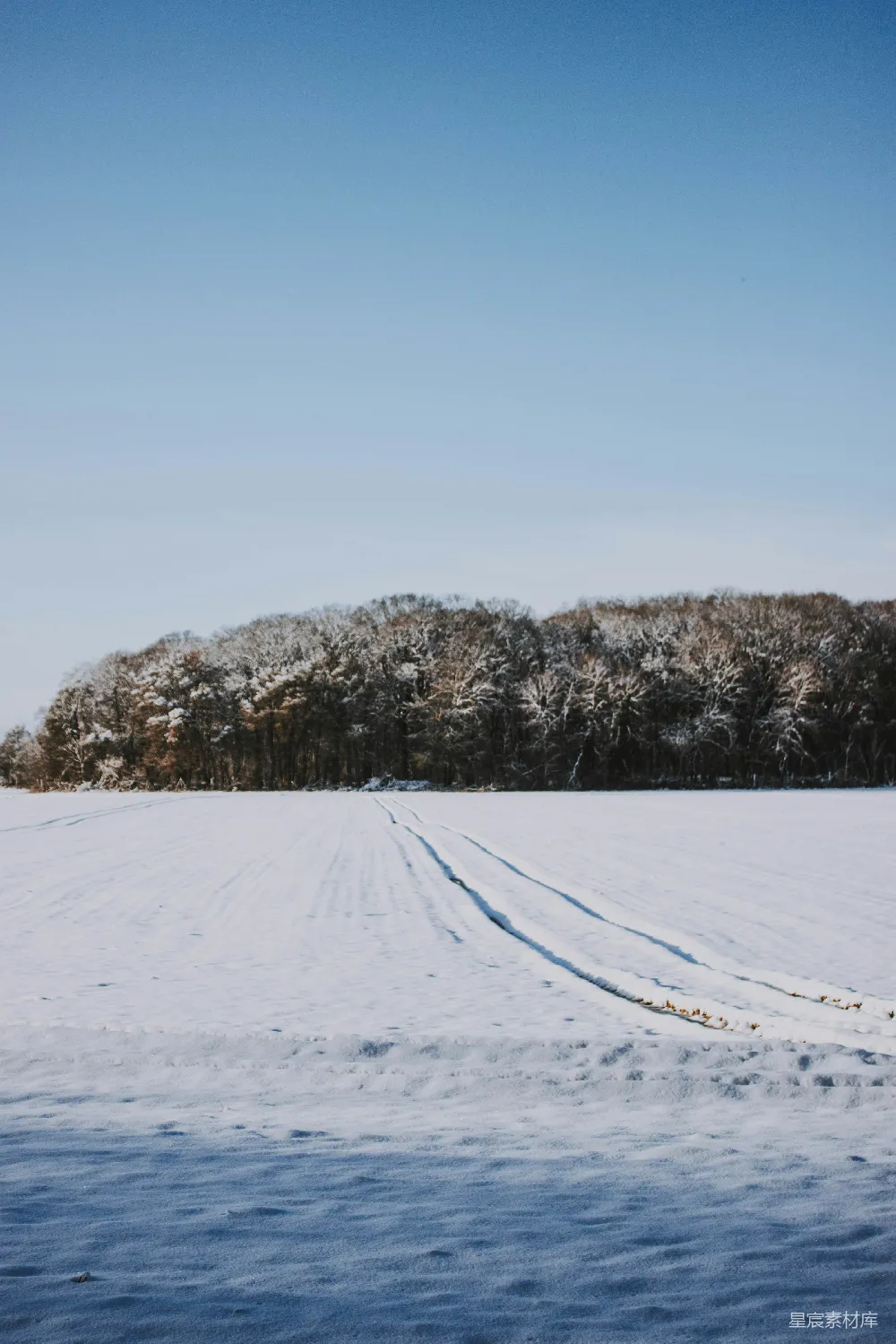高清摄影 雪地 自然风光 户外 冬季 宁静 雪地上的痕迹