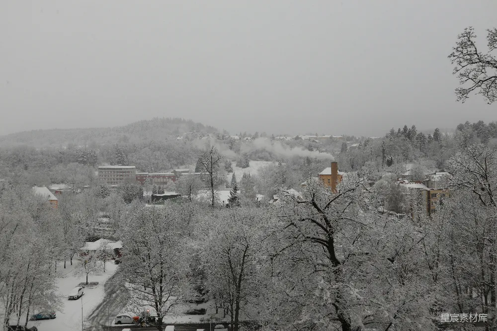 高清摄影 雪景 小镇 自然风光 冬季 宁静 冬日雪景中的小镇
