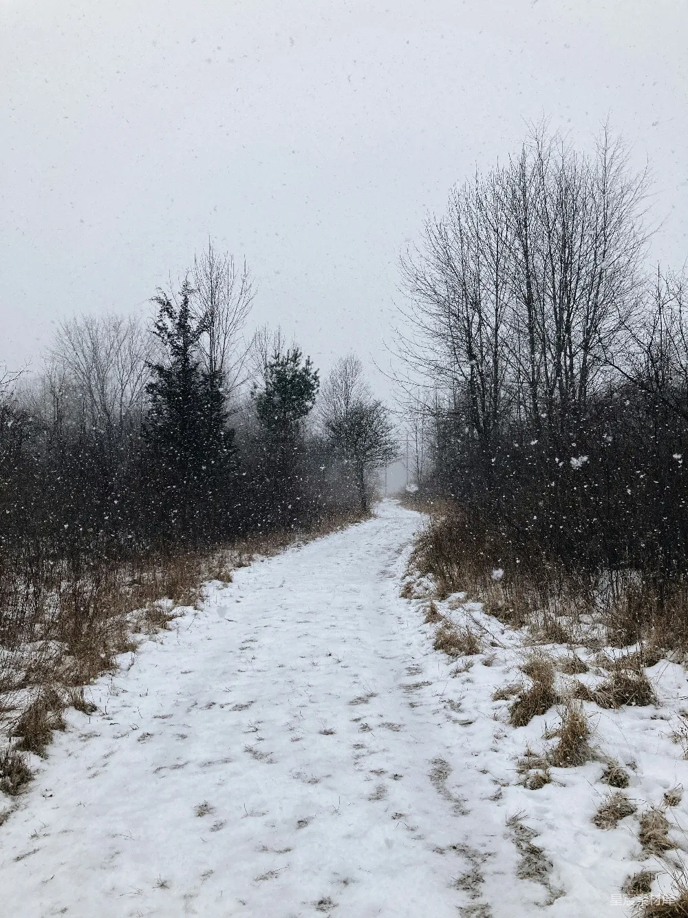 高清摄影 冬景 雪景 自然 乡村 宁静 冬日雪景中的小径