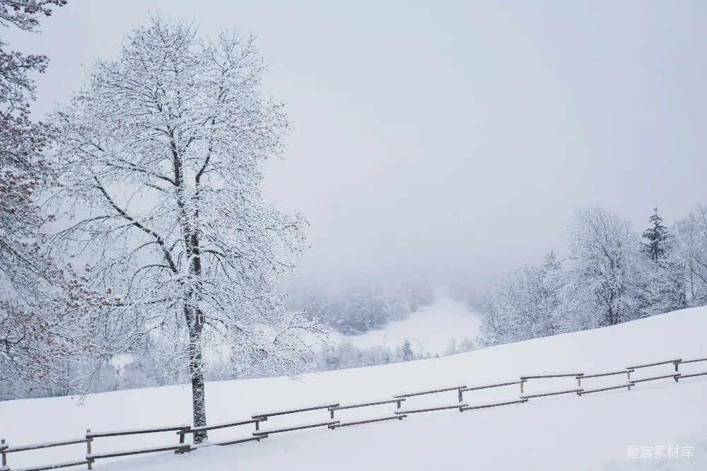 高清摄影 雪景 冬季 自然风光 宁静 户外 冬日雪景