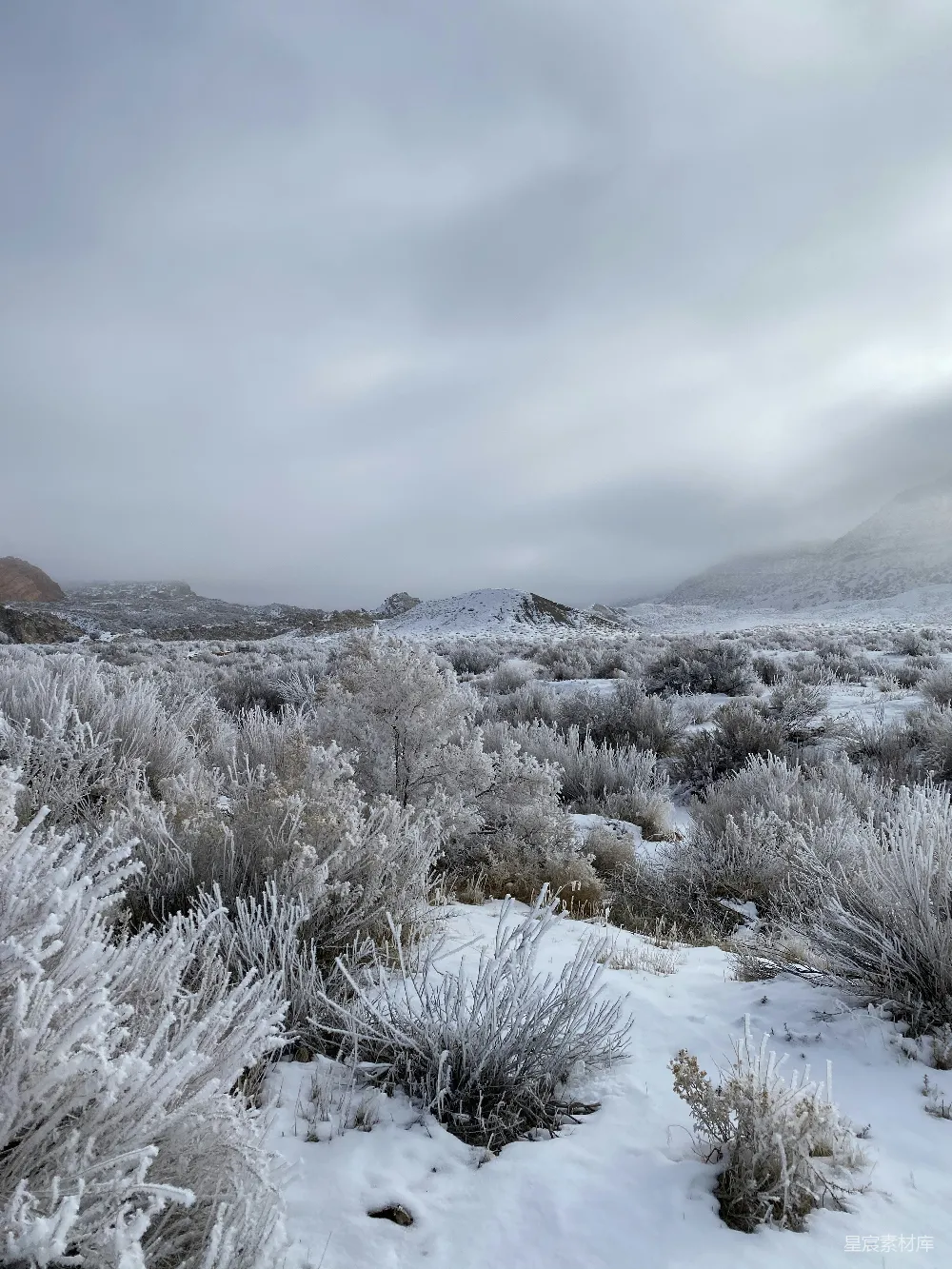 高清摄影 冬景 荒野 自然 雪景 寒冷 冬日寒霜下的荒野