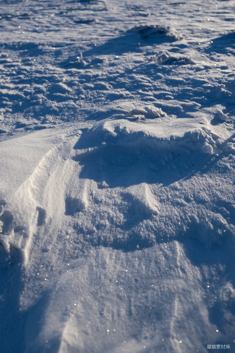 高清摄影 雪地 足迹 自然 冬季 宁静 雪地里的足迹