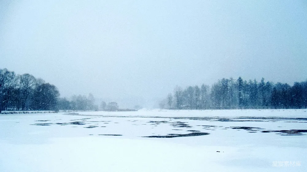高清摄影 雪景 自然风光 冬季 静谧 冷色调 冬日雪景