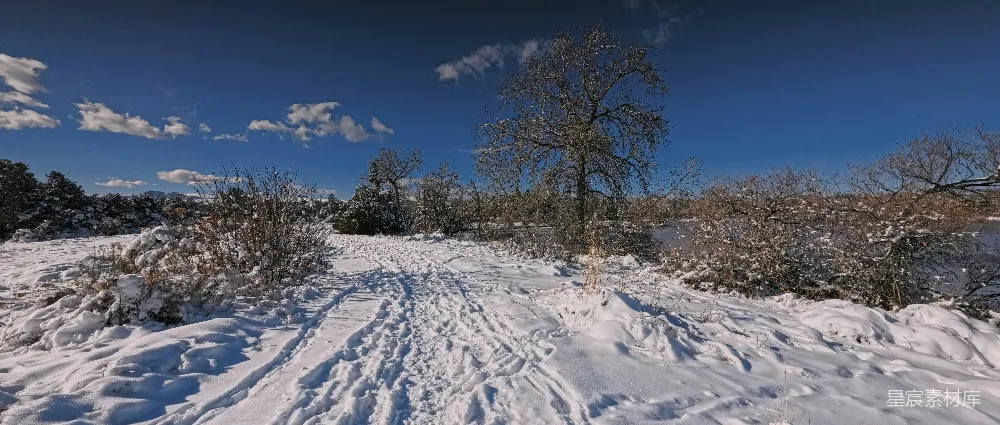 高清摄影 雪景 自然风光 冬季 户外 宁静 冬日雪景中的小径