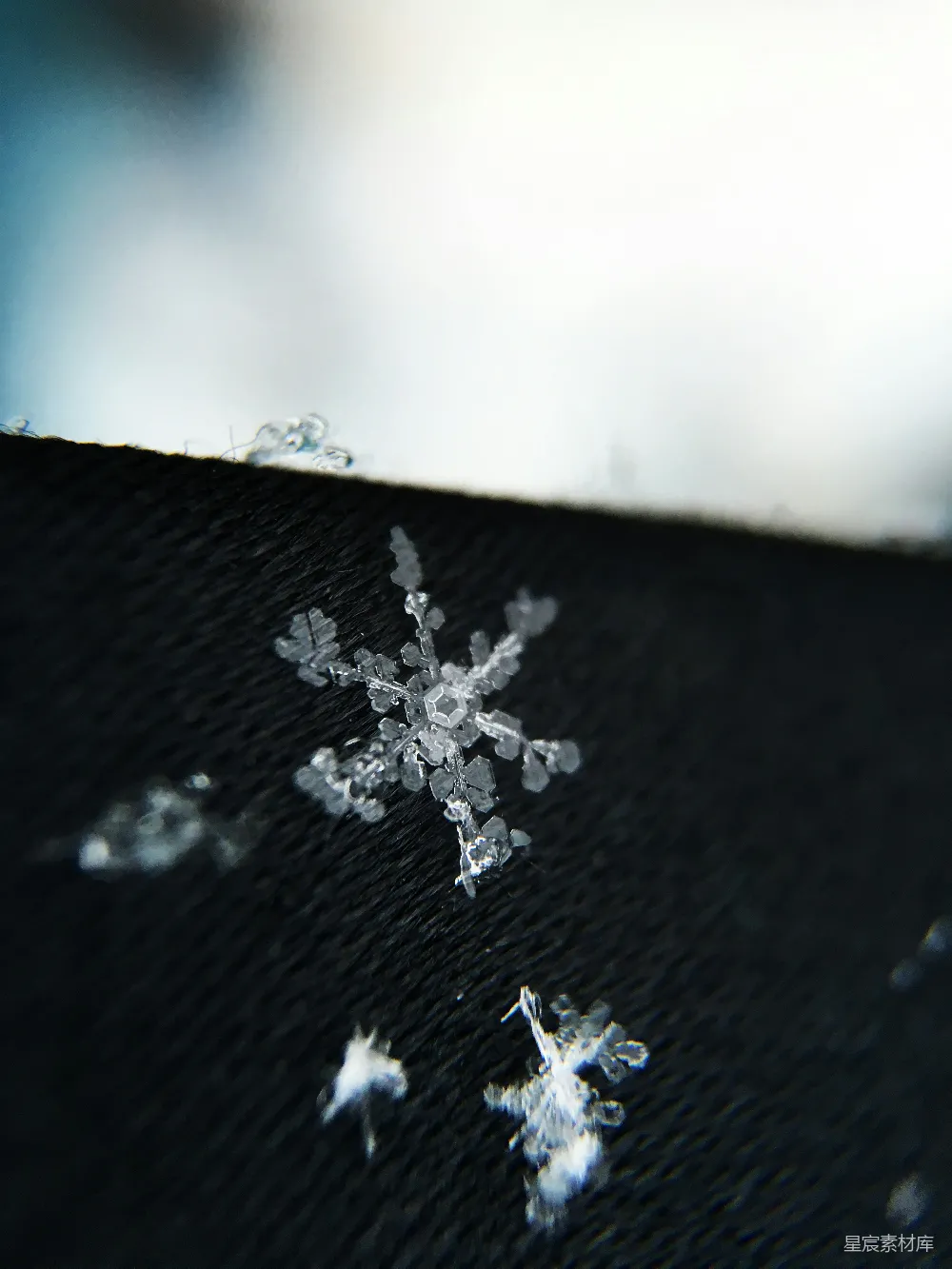 高清摄影 自然 微距摄影 冬季 细节 纯净 雪花之美