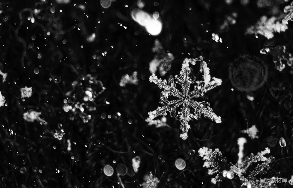 高清摄影 雪花 自然 黑白 冬景 细节 冬日雪花：自然之美