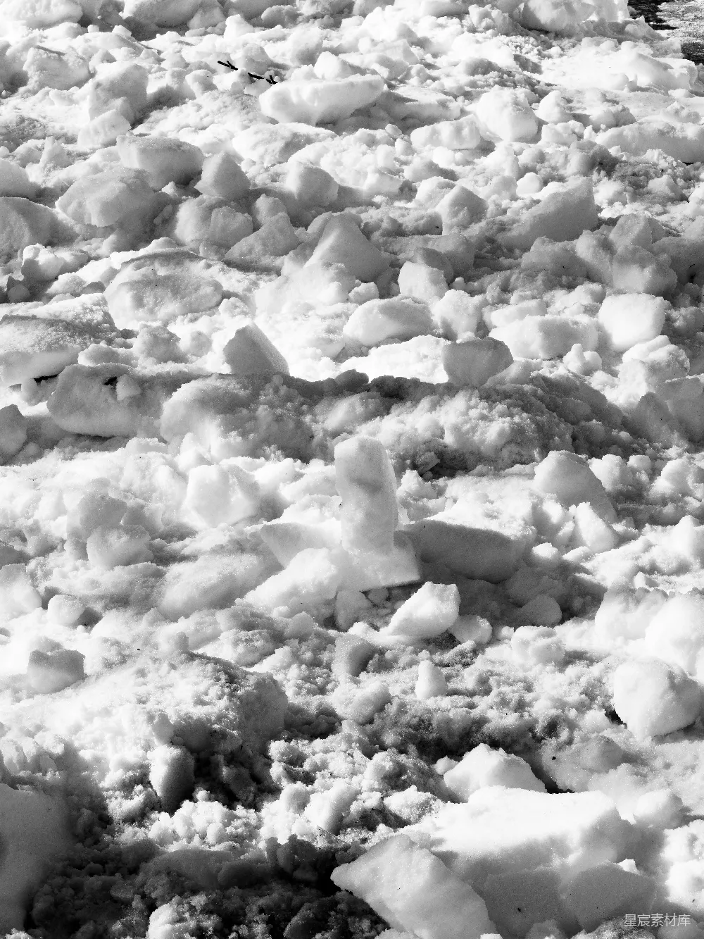 高清摄影 雪地 自然 黑白 冬季 户外 雪地中的脚印