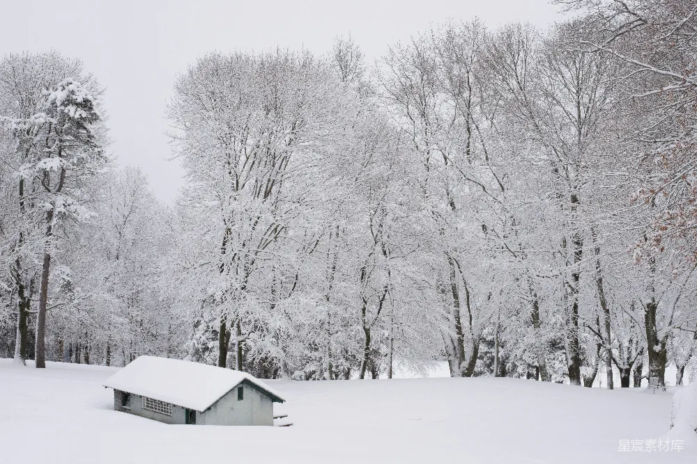 高清摄影 冬季 雪景 自然风光 宁静 乡村 冬日雪景中的小屋