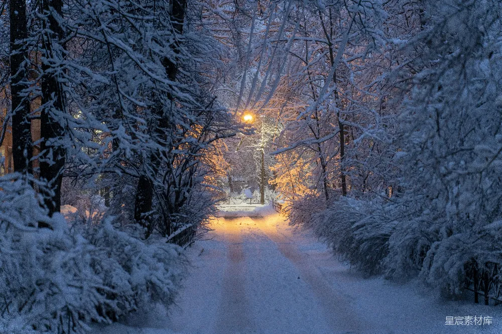 高清摄影 冬夜 雪景 路灯 自然风光 城市公园 冬夜雪景中的路灯