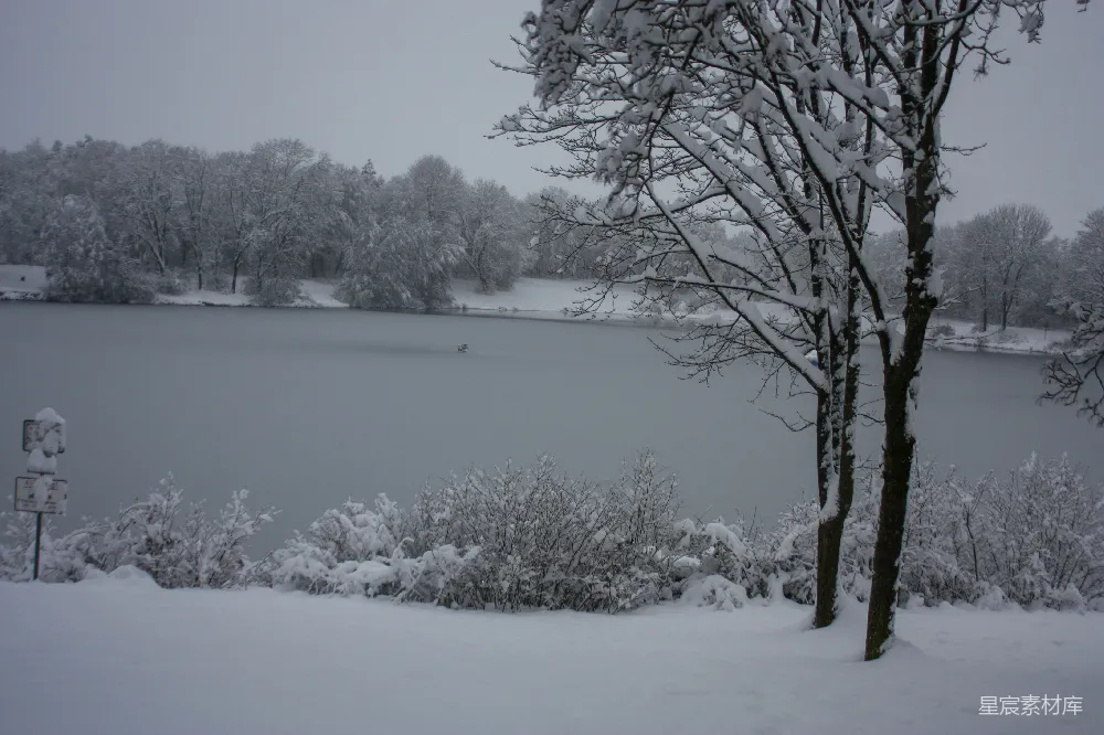 高清摄影 雪景 湖泊 自然风光 冬季 宁静 冬日湖畔雪景