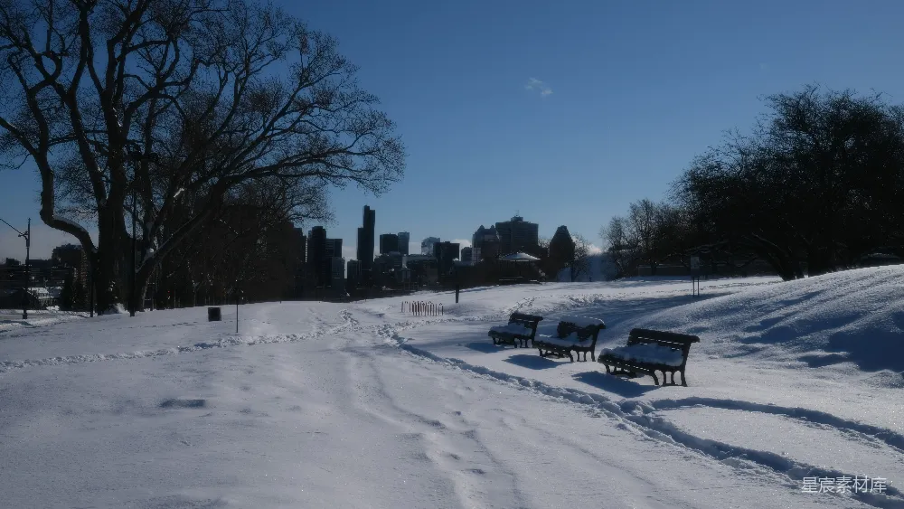 高清摄影 冬季 公园 雪景 城市天际线 晴朗 冬日静谧的公园
