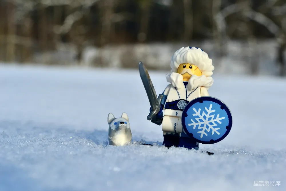 高清摄影 积雪 玩具人偶 冬季 冒险 户外 雪地中的守护者