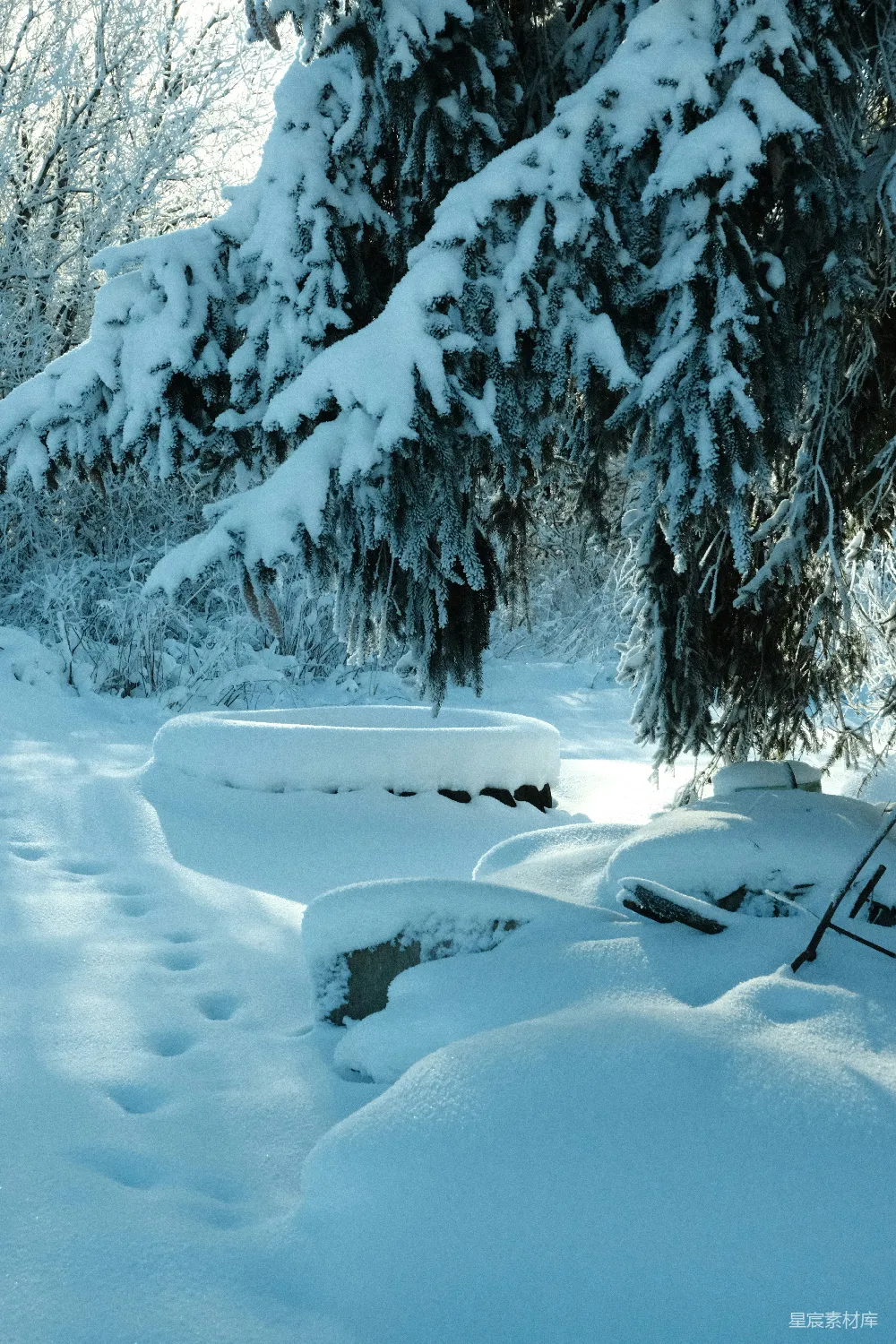 高清摄影 雪景 自然 冬季 户外 宁静 雪覆盖的石阶