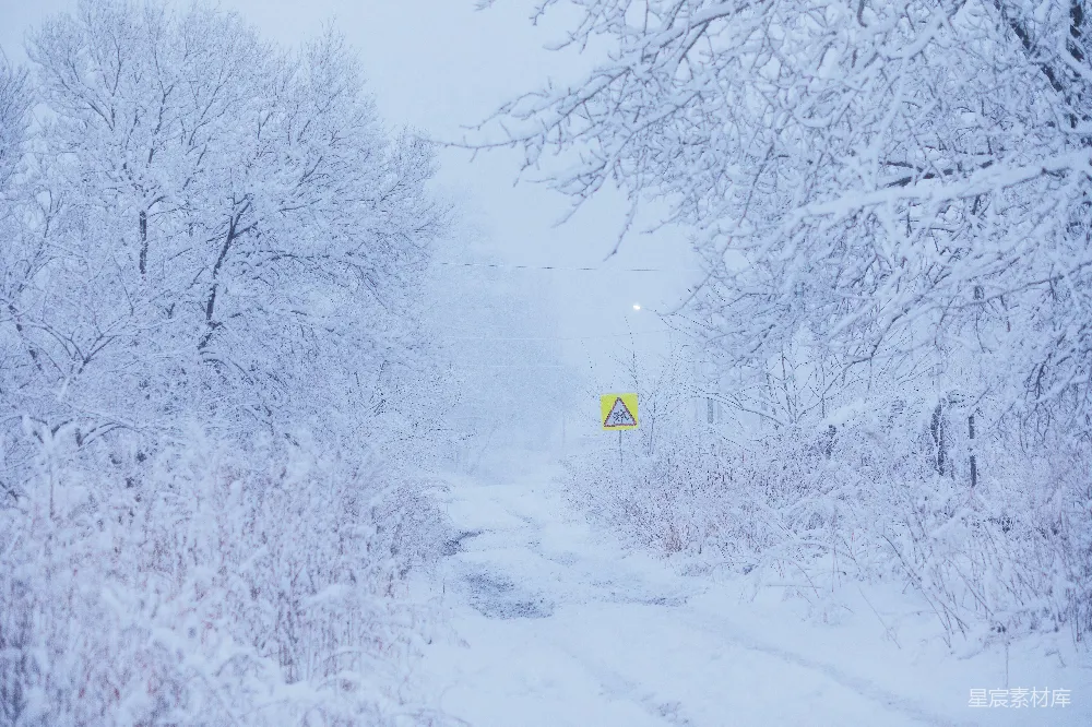 高清摄影 雪景 冬季 宁静 自然 乡村 雪后的宁静小径