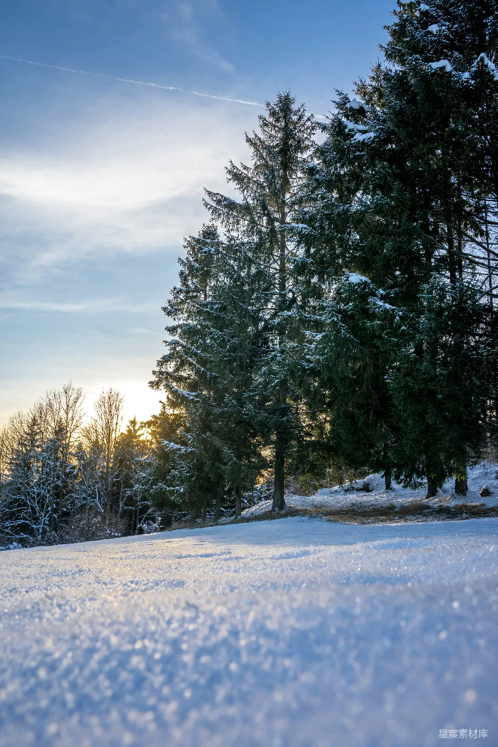 高清摄影 雪景 森林 日出 自然风光 宁静 冬日森林中的阳光