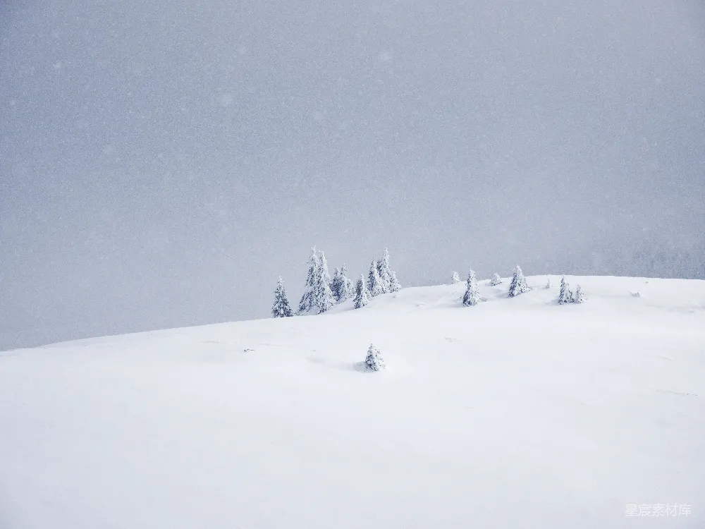 高清摄影 雪景 冬季 自然风光 宁静 山林 冬日山景