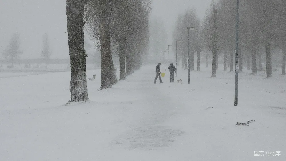 高清摄影 雪景 自然 户外活动 冬季 休闲 雪中的公园散步