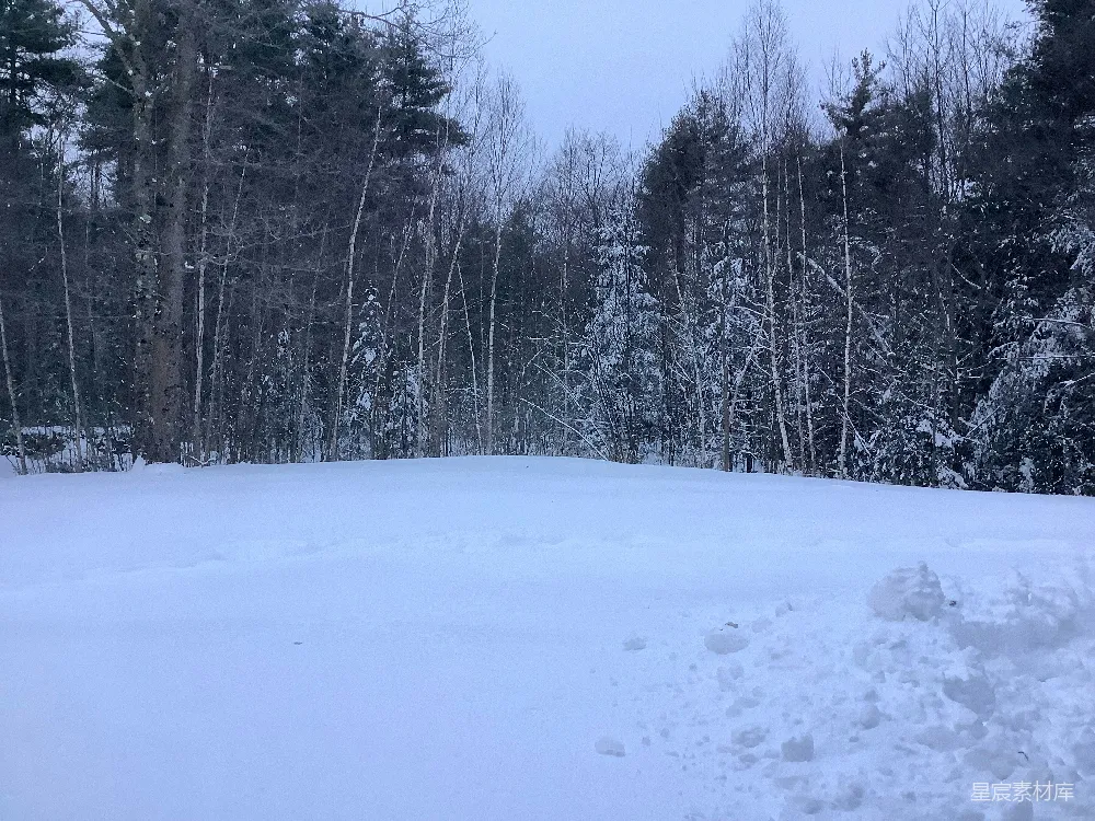 高清摄影 雪景 冬季 自然风光 户外 宁静 冬日雪景