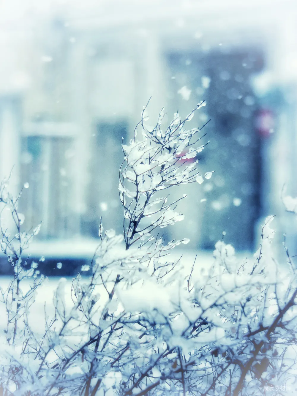 高清摄影 雪景 冬日 自然风光 冰凌 树枝 冬日雪景中的冰凌树枝