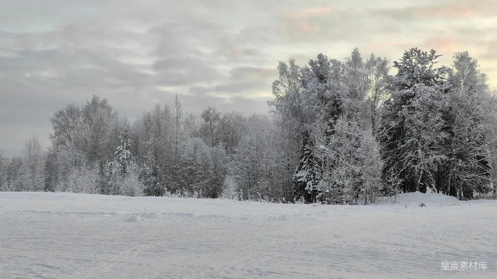 高清摄影 雪景 冬季 自然风光 户外 宁静 冬日雪景