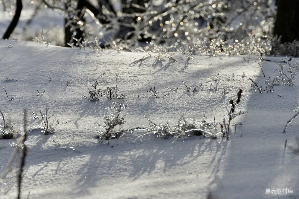 高清摄影 冬日 雪景 自然风光 纯净 静谧 冬日银装素裹的雪地