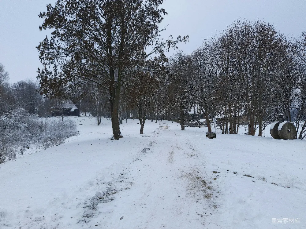 图片展示了一条覆盖着积雪的小径，两旁是被白雪覆盖的树木和灌木丛，远处隐约可见几座乡村建筑。雪后的景色显得宁静而美丽，适合冬季散步或摄影。