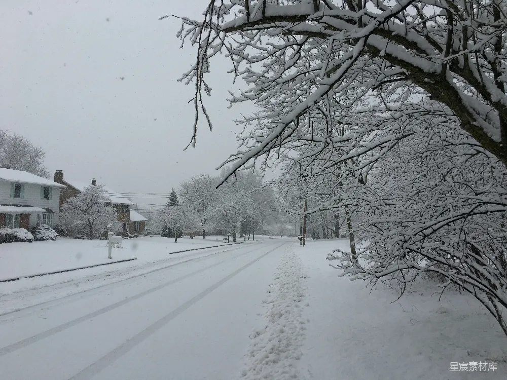 高清摄影 雪景 宁静 冬日 乡村 自然 冬日雪景下的宁静街道