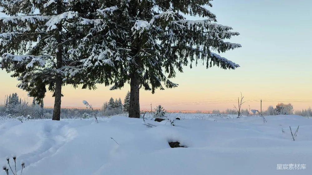 高清摄影 雪景 冬日 宁静 自然风光 乡村 冬日清晨的雪景