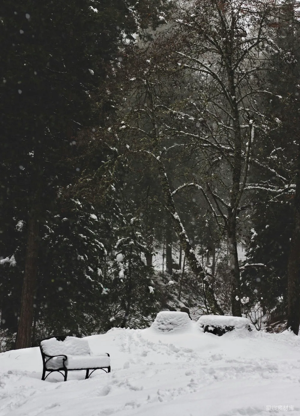 高清摄影 雪景 森林 静谧 冬季 自然 雪中静谧的森林长椅