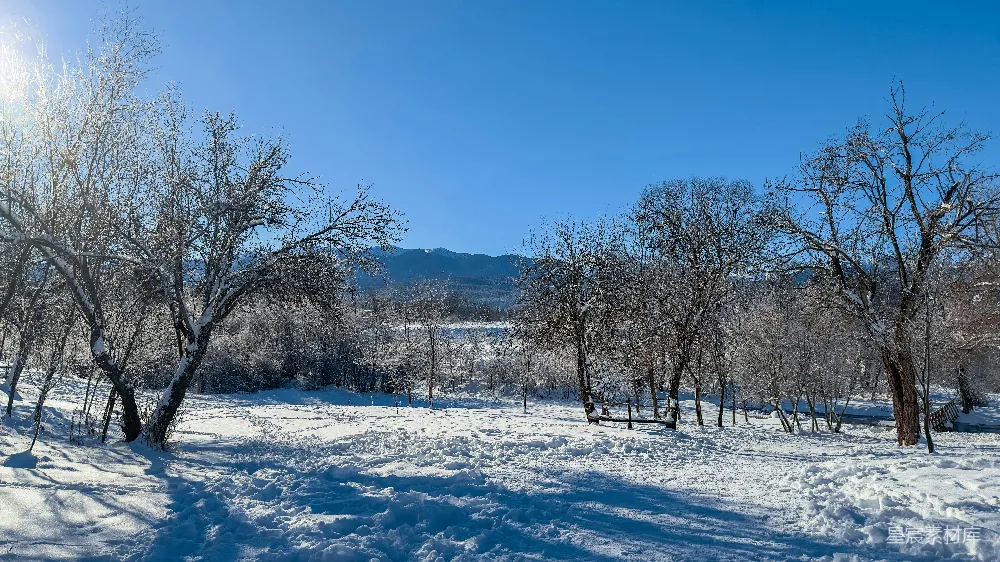 高清摄影 雪景 冬季 自然风光 静谧 户外 冬日雪景