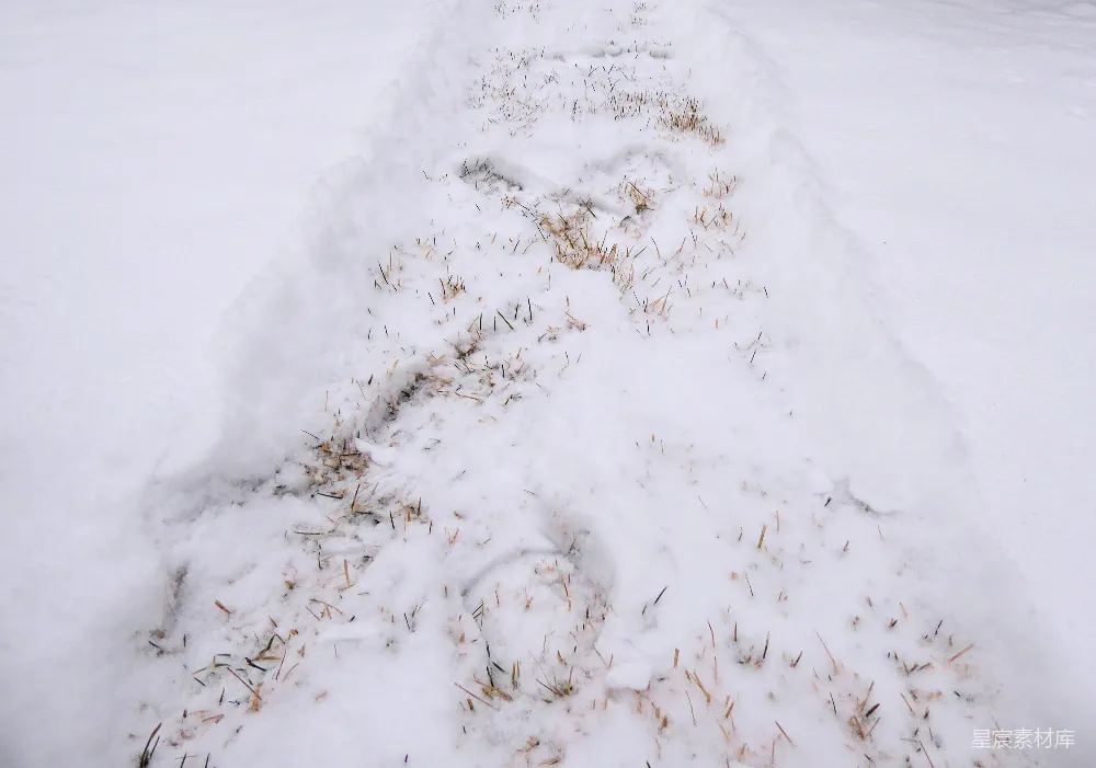 高清摄影 雪地 足迹 自然 冬季 户外 雪地中的足迹