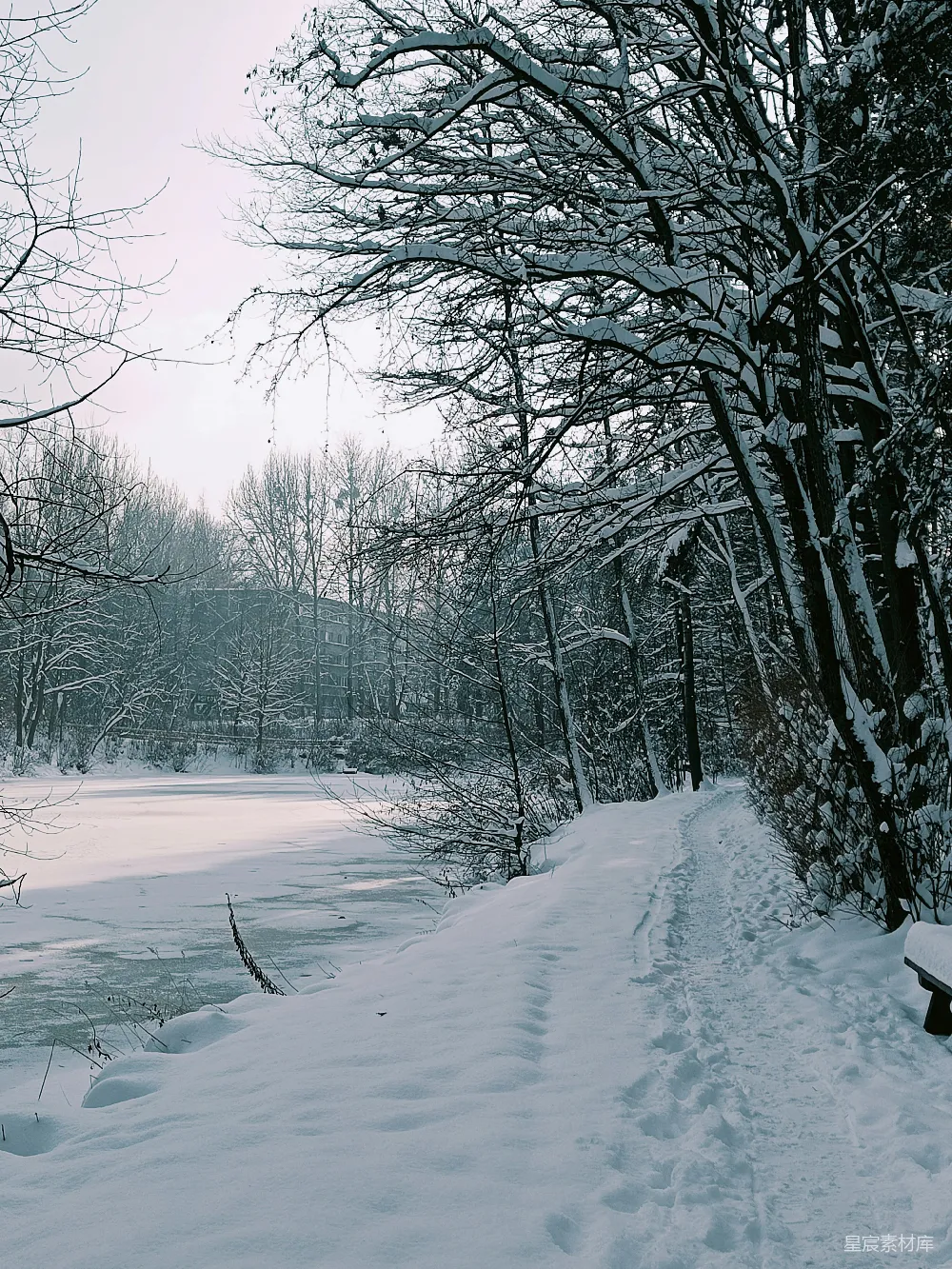 高清摄影 冬季 雪景 静谧 自然风光 户外 冬日静谧雪景